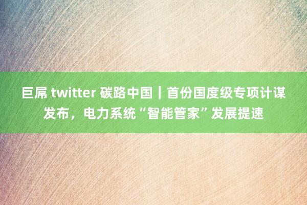 巨屌 twitter 碳路中国|首份国度级专项计谋发布,电力系统“智能管家”发展提速