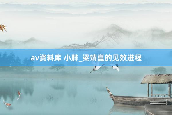 av资料库 小胖_梁靖崑的见效进程