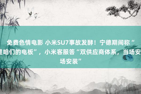 免费色情电影 小米SU7事故发酵!宁德期间称“不是咱们的电板”,小米客服答“双供应商体系,当场安装”