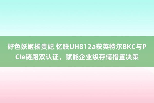 好色妖姬杨贵妃 忆联UH812a获英特尔BKC与PCIe链路双认证,赋能企业级存储措置决策
