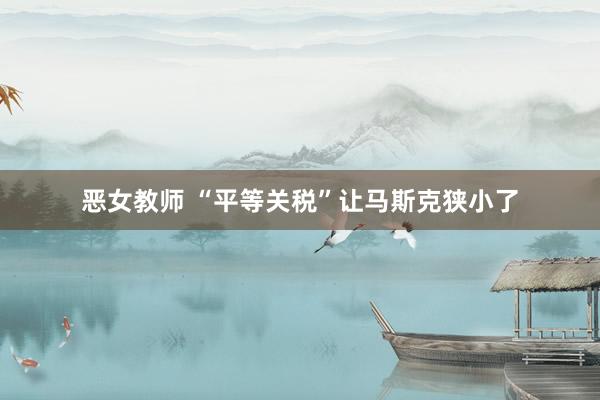 恶女教师 “平等关税”让马斯克狭小了