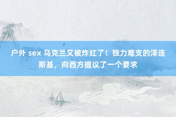 户外 sex 乌克兰又被炸红了!独力难支的泽连斯基,向西方提议了一个要求