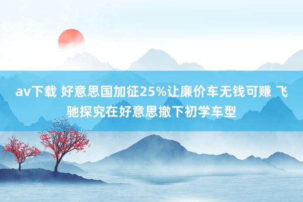 av下载 好意思国加征25%让廉价车无钱可赚 飞驰探究在好意思撤下初学车型