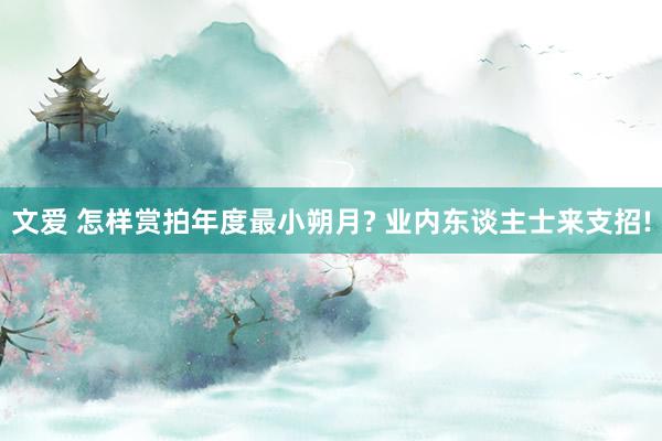 文爱 怎样赏拍年度最小朔月? 业内东谈主士来支招!