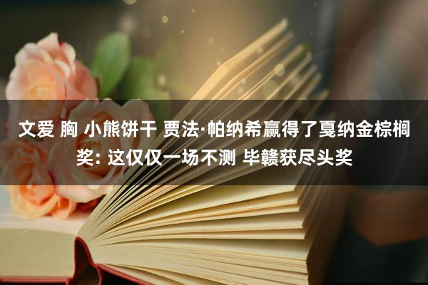文爱 胸 小熊饼干 贾法·帕纳希赢得了戛纳金棕榈奖: 这仅仅一场不测 毕赣获尽头奖