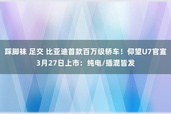 踩脚袜 足交 比亚迪首款百万级轿车!仰望U7官宣3月27日上市:纯电/插混皆发