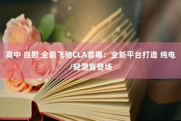 高中 自慰 全新飞驰CLA首曝:全新平台打造 纯电/轻混皆登场