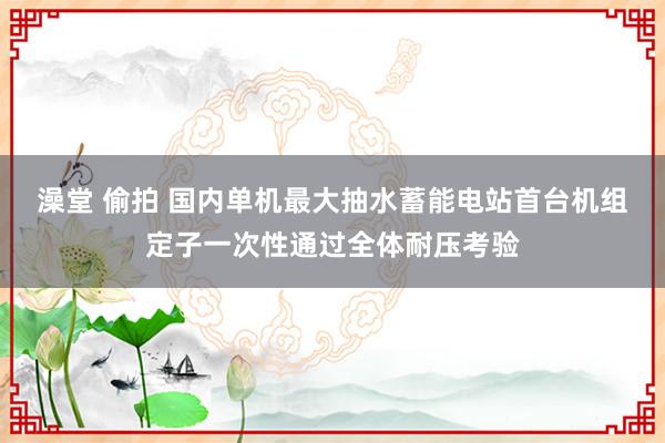 澡堂 偷拍 国内单机最大抽水蓄能电站首台机组定子一次性通过全体耐压考验