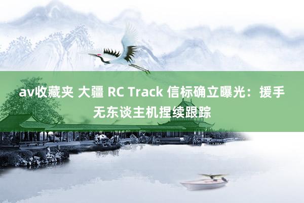 av收藏夹 大疆 RC Track 信标确立曝光:援手无东谈主机捏续跟踪