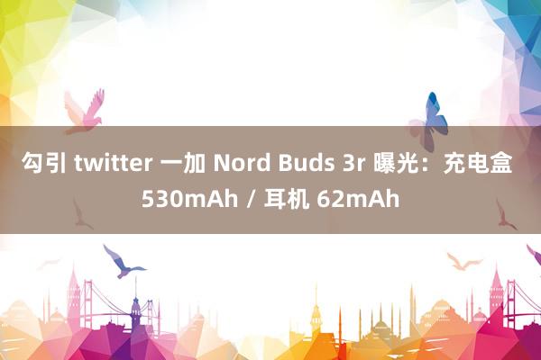 勾引 twitter 一加 Nord Buds 3r 曝光:充电盒 530mAh / 耳机 62mAh